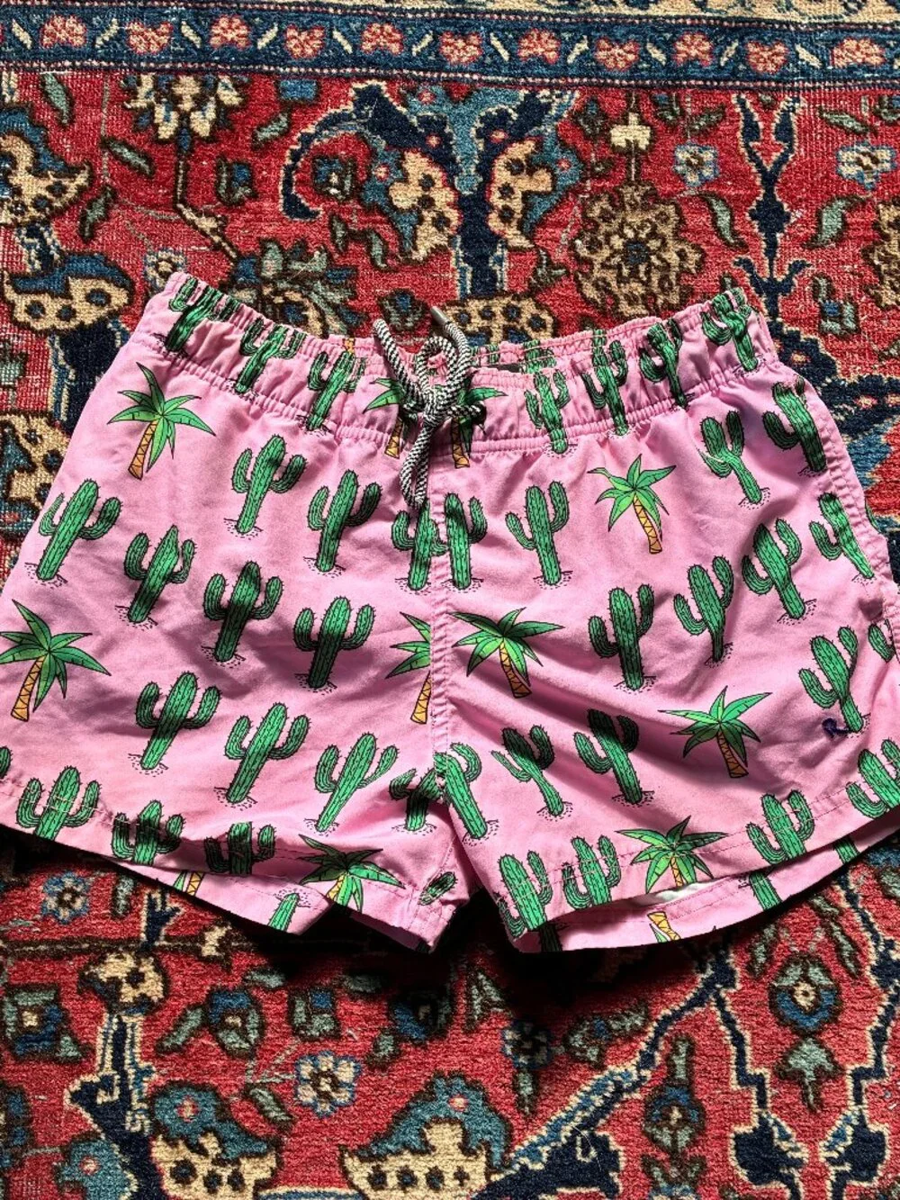 Palm Springs swim trunks